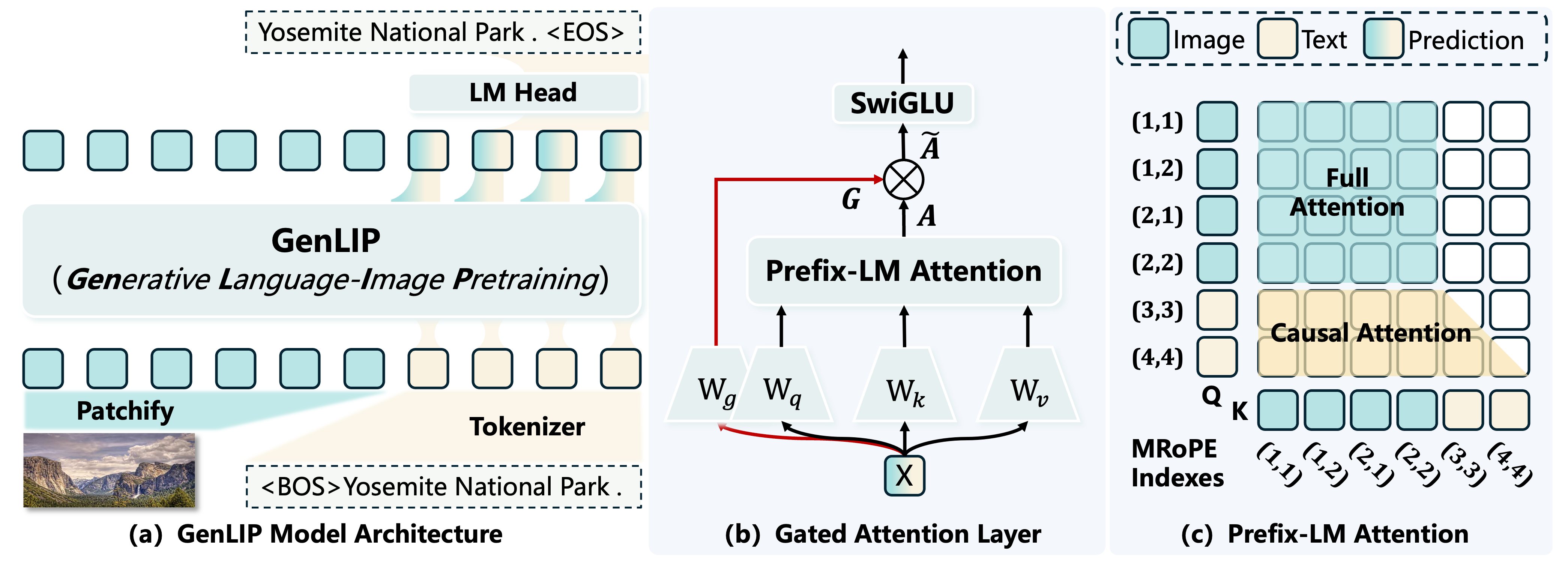 GenLIP architecture showing a shared Transformer, gated attention, MRoPE indices, and the Prefix-LM attention mask.