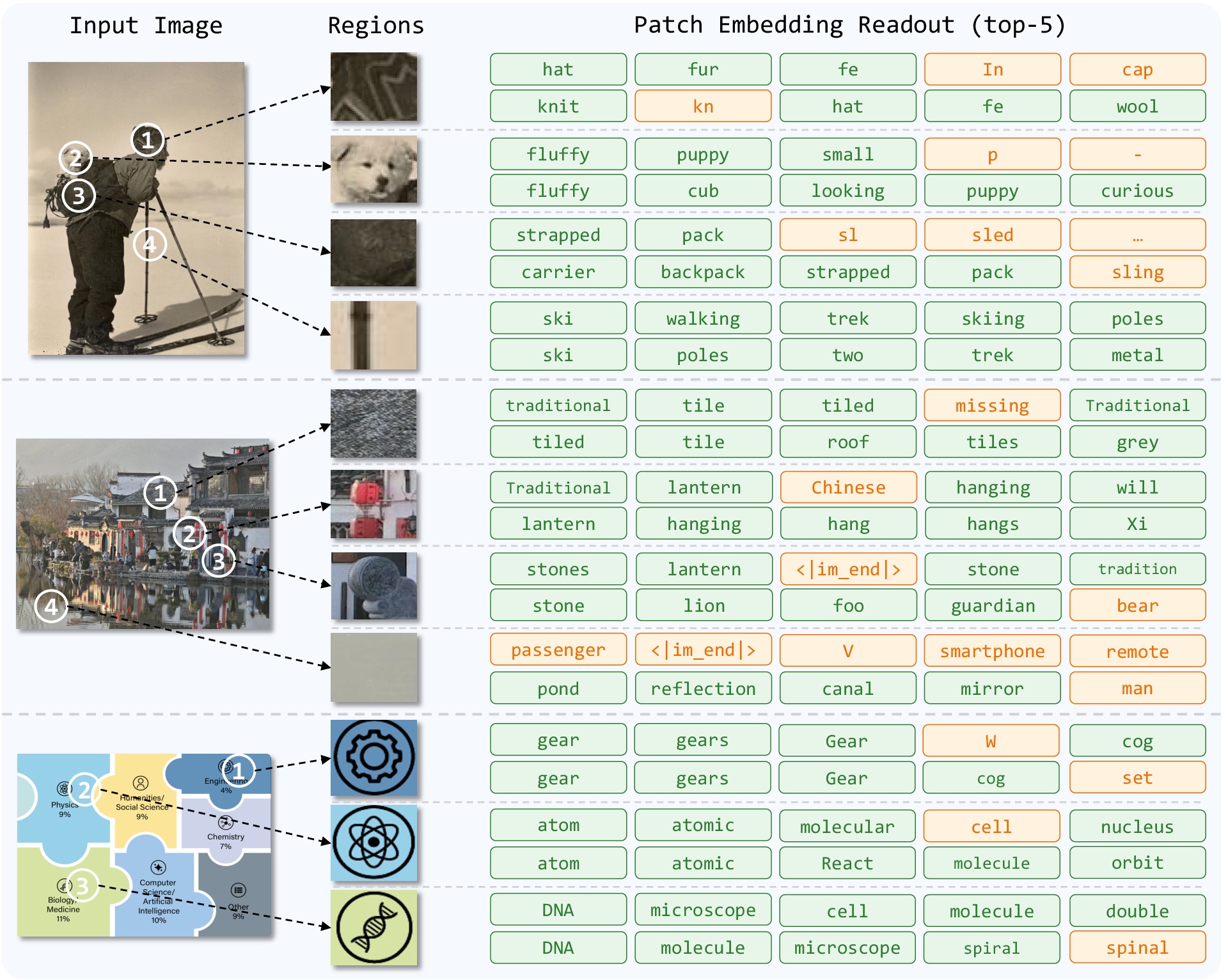 Patch semantic readout showing local visual regions mapped to language tokens.